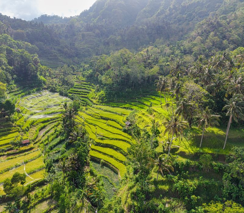 Bali